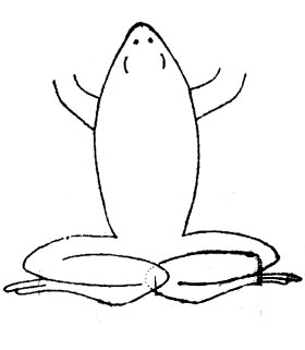 Рис.7. Схема способа сравнения относительной длины задних конечностей у лягушки. 1 - голеностопные сочленения.
