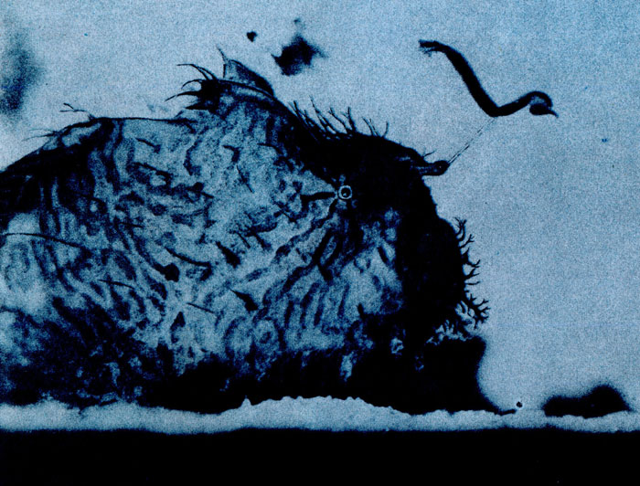 Удильщик Antennarius ocellatus. Эта маленькая тропическая рыбка, прячась среди атлантических водорослей и саргассов, заманивает добычу в свою бездонную глотку с помощью 'наживки', напоминающей червя