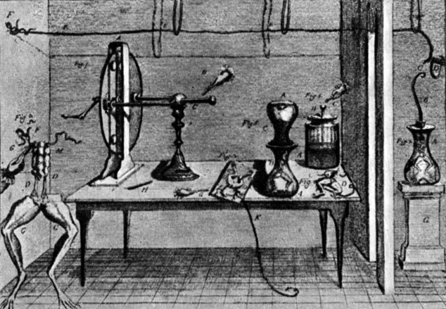 На этом старинном рисунке вы видите весь нехитрый арсенал научных приборов, которыми пользовался Гальвани