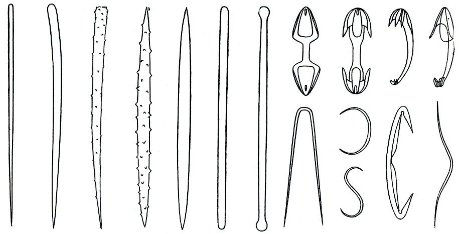 Рис. 125. Иглы кремнероговых губок. Слева - макросклеры: разной формы одноосные иглы. Справа-микросклеры: хелы, якорьки (вверху), шпильки, сигмы, дужки (внизу)