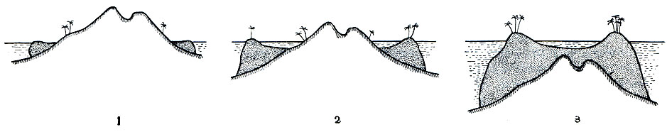 Рис. 183. Так постепенно из берегового рифа (1) образуется барьерный риф (2), а из него - атолл (3)