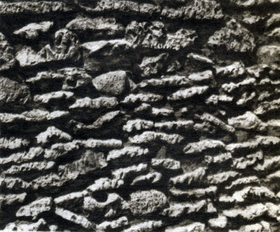 Таблица 15. Кораллы в хозяйстве человека. Кладка стены здания из кораллового известняка