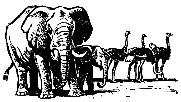 Опись каравана животных