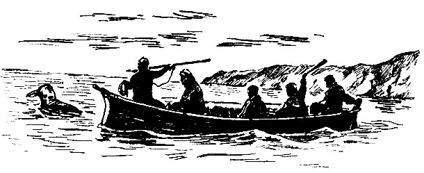 Охота эскимосов на моржа. На носу байдары охотник с гарпуном, впереди рулевого человек хлопает по воде пластиной китового уса