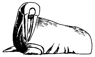 Фигурка моржа из кости. Мастер Вуквол (1914-1942 гг.)