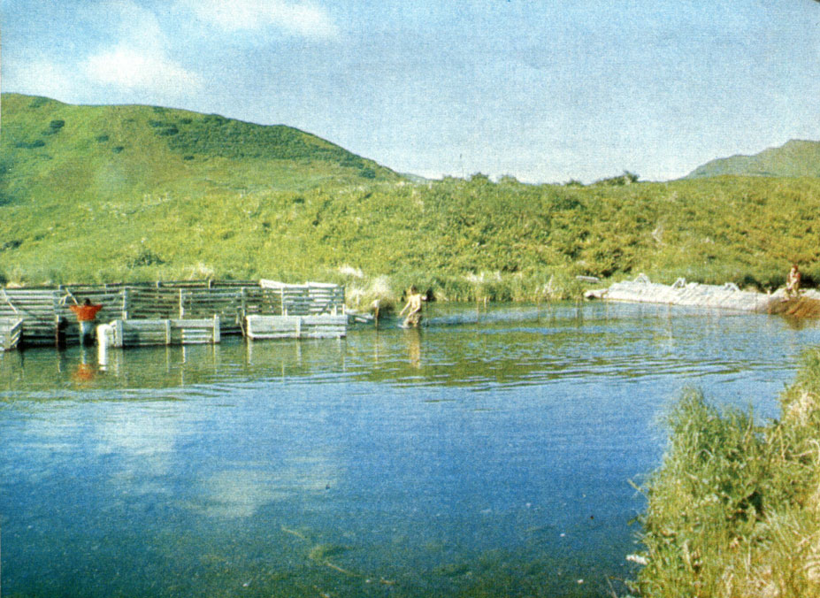 Станция подсчета и запруды для лососей на реке Акалура