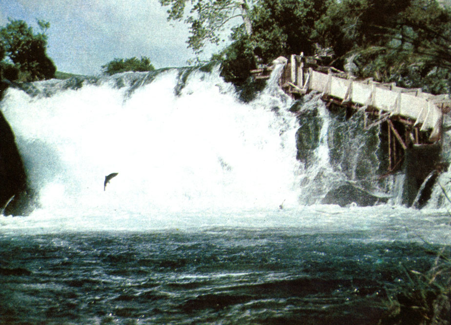 Большой водопад и 'лестница для рыб' справа