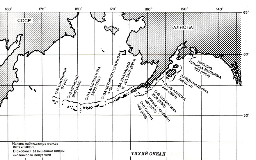Основные современные колонии каланов на Аляске и Алеутских островах. (По: Karl W. Kenyon, 1969.)