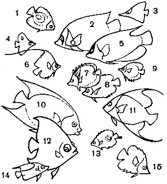 Таблица 32. Щетинозубые: 1 - никобарский голакант (Holacanthus nicobaricus); 2 - императорская рыба-ангел (Pomacanthus imperator); 3 - щетинозуб-пинцетник (Forcipiger longirostris); 4 - длинноносая рыба-бабочка (Chelmon rostratus); 5 - пигоплит (Pygoplites diacanthus); 6 - вымпельный щетинозуб (Heniochus acuminatus); 7 - рыба-бабочка (Chaetodon lunula); 8 - полосатая рыба-бабочка (Chaetodon strigatus); 9 - глазчатая рыба-бабочка (Chaetodon ocellatus); 10 - голакант полулунный (Holacanthus ciliaris); 11 - серая рыба-ангел (Pomacanthus arcuatus); 12 - желтополосая рыба-ангел (Pomacanthus ciliaris); 13 - четырехглазая рыба-бабочка (Chaetodon capistratus); 14 - черночепрачная рыба-бабочка (Ch. ephippium); 15 - зебровая рыба-бабочка (Ch. semicirculatus)