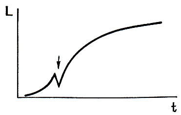 Рис. 19. Схематическая кривая роста земноводных