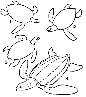 Таблица 16. Черепахи: 1 - бисса (Eretmochelys imbricata); 2 - суповая зеленая черепаха (Chelonia mydas); 3 - логгерхед (Caretta caretta); 4 - кожистая черепаха (Dermochelys coriacea)