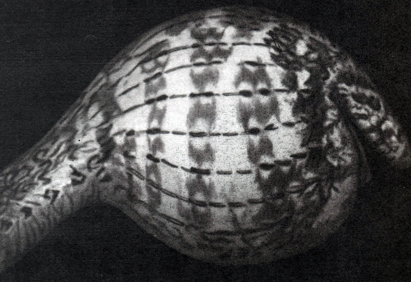 Таблица 51. Яичная змея (Dasipeltis scabra) заглатывающая куриное яйцо