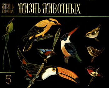 Жизнь животных. Птицы, 5-й том - под редакцией профессоров Н. А. Гладкова, А. В. Михеева