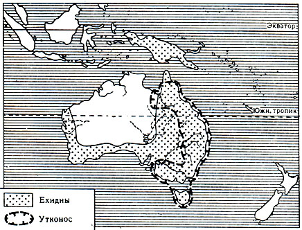 Карта 1. Распространение ехидн и утконоса