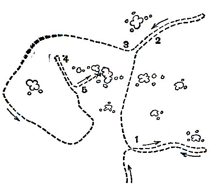 Рис. 87. Схематический план пути русака на лежку (обозначена крестиком). Направление хода указано стрелками