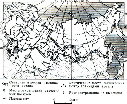 Карта 6. Распространение пасюка в СССР