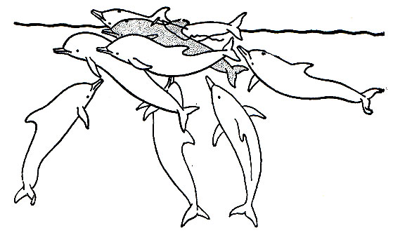Рис. 155. Дельфины-белобочки (Delphinus delphis) оказывают помощь больному дельфину, выталкивая его из воды
