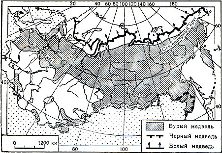 Карта 7. Распространение медведей в СССР