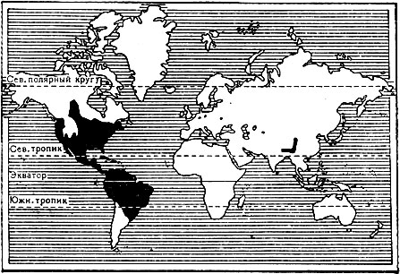 Карта 8. Распространение енотовых