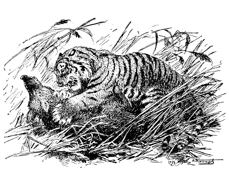 рассказы про охоту на тигров