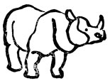 Носороги из Казиранги