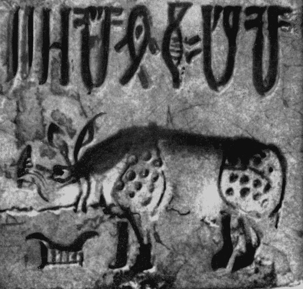 Фото 73. Печать с изображением носорога. Эпоха Мохенджо-Даро (около 5000 лет назад)