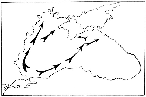 Схема весенних миграций пеламиды в Черном море. Стрелки показывают движение косяков