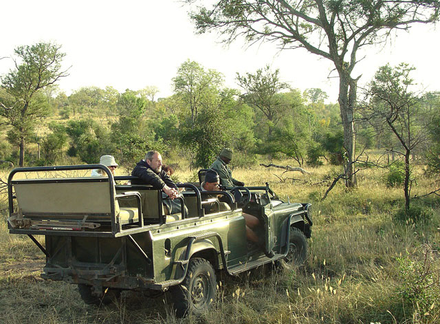     -,   - https://upload.wikimedia.org/wikipedia/commons/thumb/0/06/Sabi_sabi_game_drive.jpg/800px-Sabi_sabi_game_drive.jpg